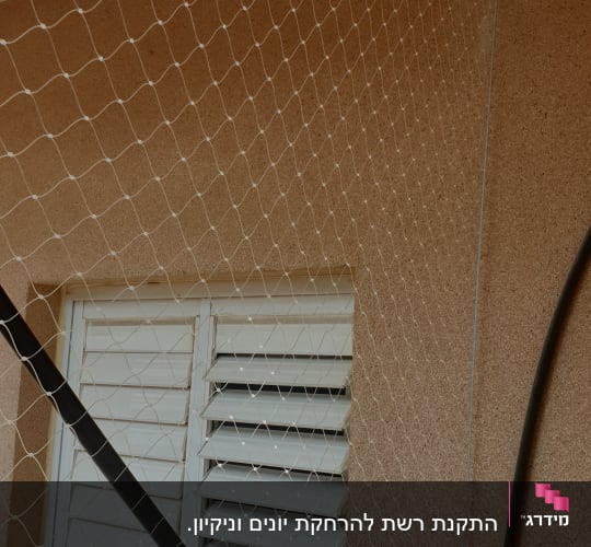 רשת למניעת כניסת יונים מותקנת על חלון